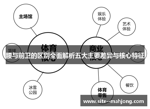 腰与前卫的区别全面解析五大主要差异与核心特征
