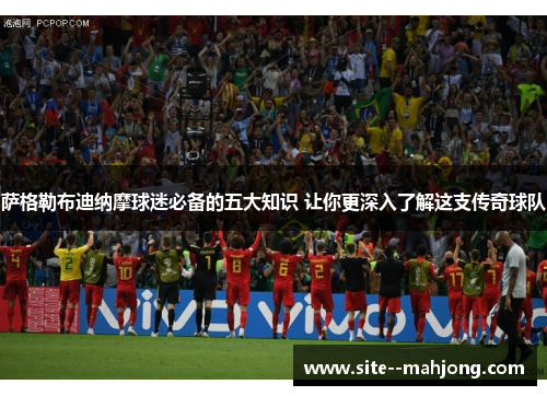 萨格勒布迪纳摩球迷必备的五大知识 让你更深入了解这支传奇球队 萨格勒布迪纳摩球迷必备的五大知识 让你更深入了解这支传奇球队