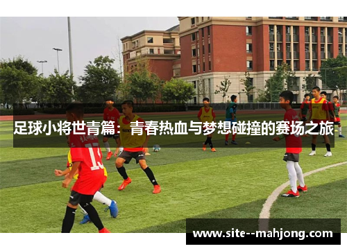 足球小将世青篇：青春热血与梦想碰撞的赛场之旅