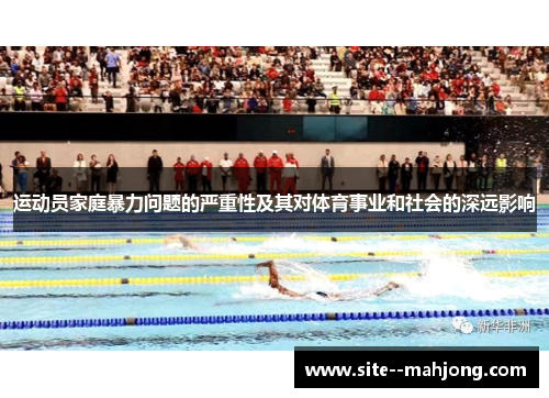 运动员家庭暴力问题的严重性及其对体育事业和社会的深远影响 运动员家庭暴力问题的严重性及其对体育事业和社会的深远影响