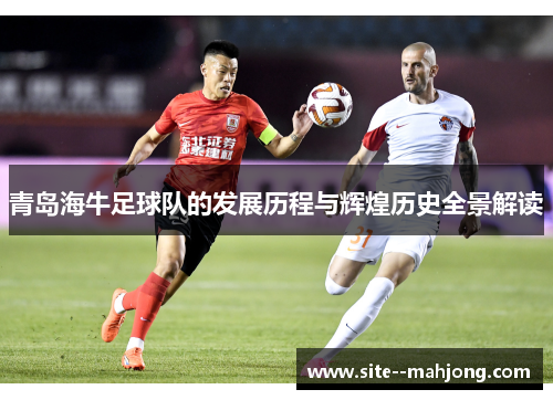 青岛海牛足球队的发展历程与辉煌历史全景解读 青岛海牛足球队的发展历程与辉煌历史全景解读
