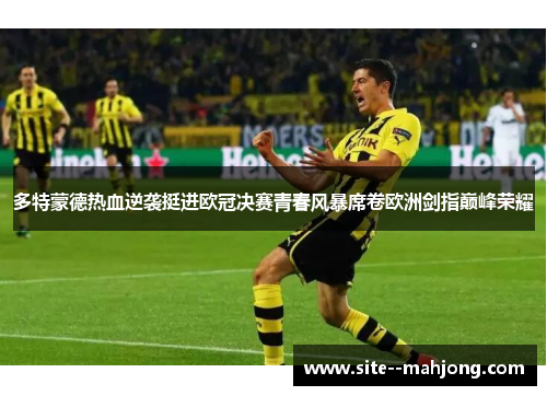 多特蒙德热血逆袭挺进欧冠决赛青春风暴席卷欧洲剑指巅峰荣耀